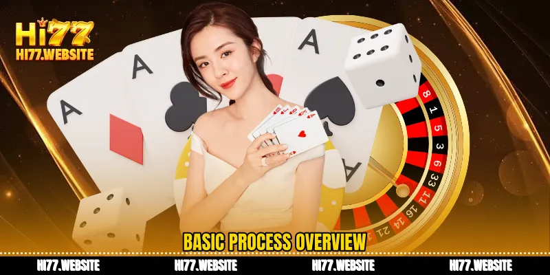 Basic process overview