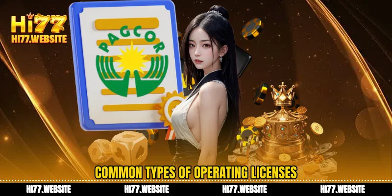 Common types of operating licenses