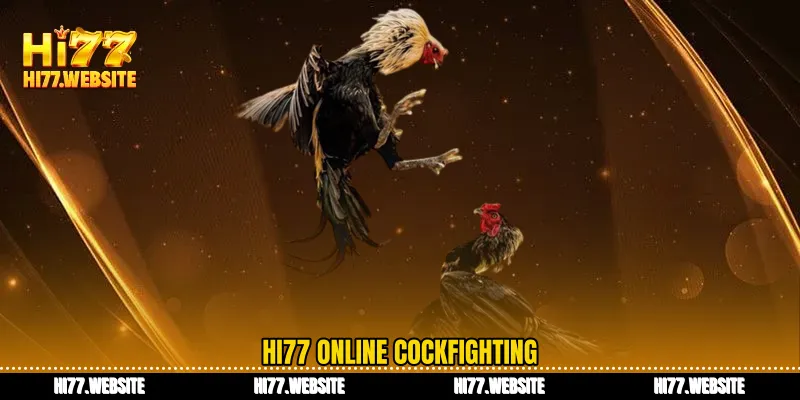 HI77 online cockfighting
