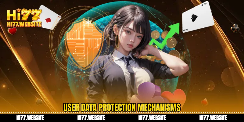 User data protection mechanisms