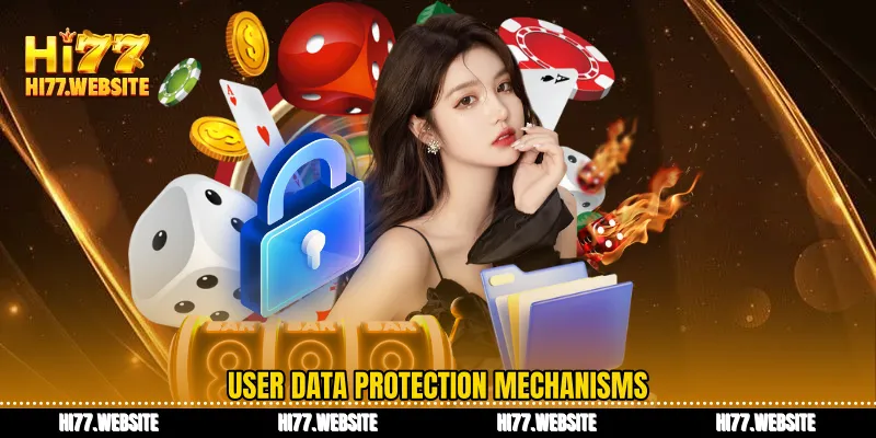 User data protection mechanisms
